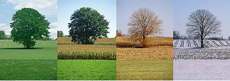 《战地6》欧洲首发销量强劲 超越《黑色行动6》战绩